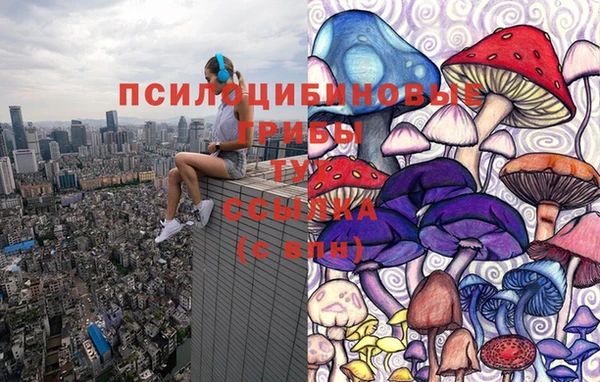 стафф Пенза