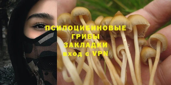прущий лед Киров
