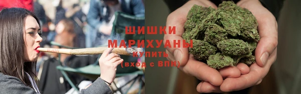 стафф Пенза