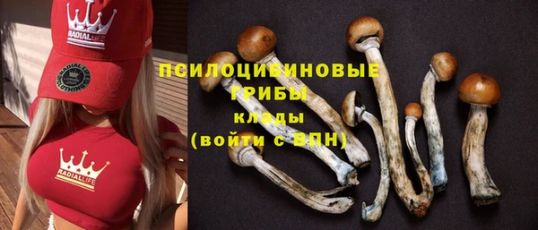 стафф Пенза