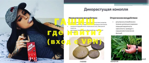стафф Пенза