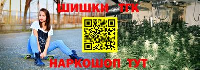 индика Донецк