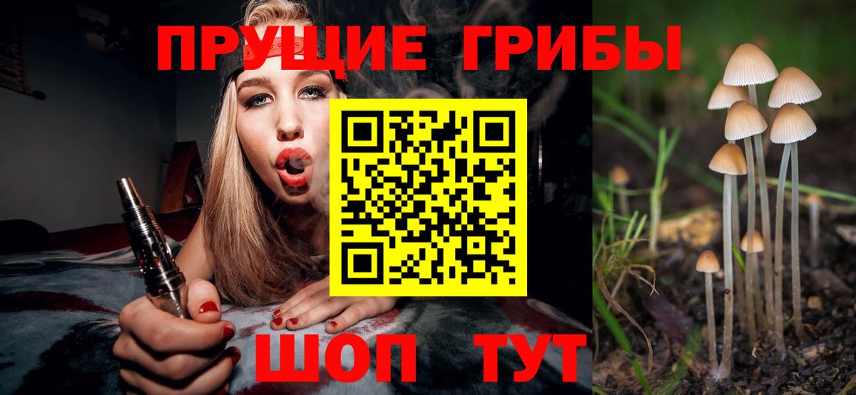Галлюциногенные грибы Psilocybine cubensis Благовещенск