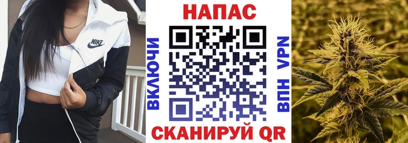 Бошки марихуана марихуана  Благовещенск 
